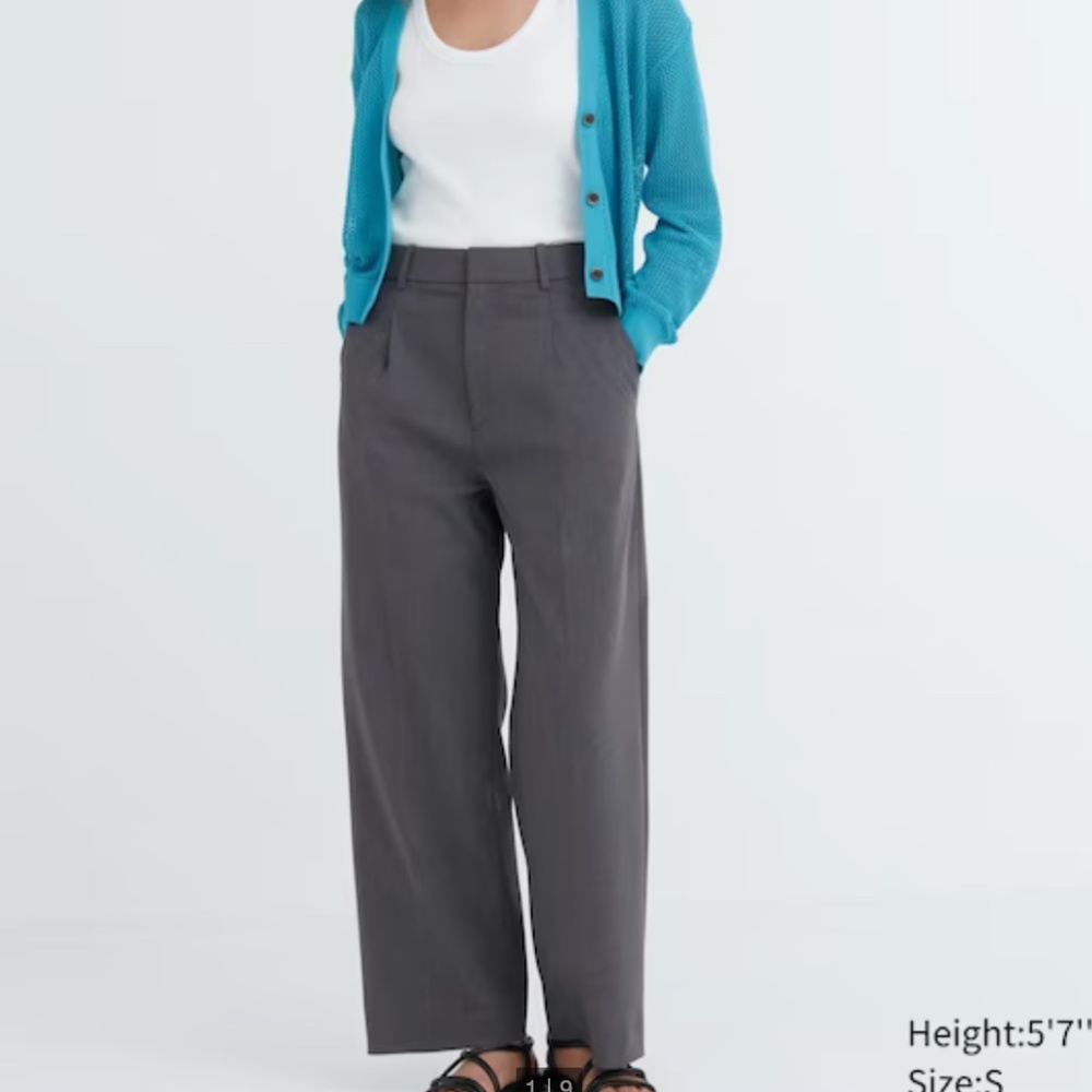 Wide-Fit Pleated Pants in Grey